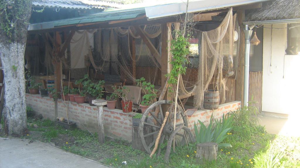 Farm Stay Lackovic Bilje Exteriör bild