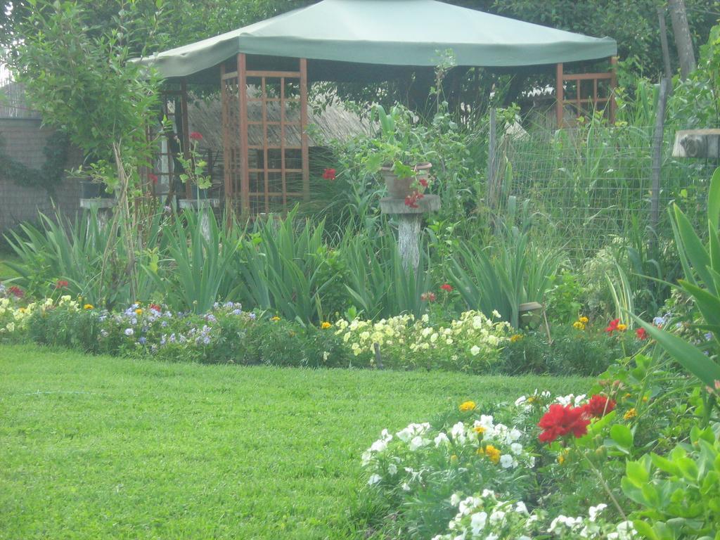 Farm Stay Lackovic Bilje Exteriör bild