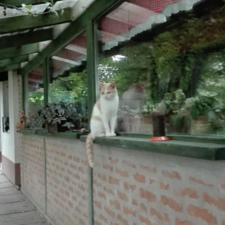 Farm Stay Lackovic Bilje Exteriör bild