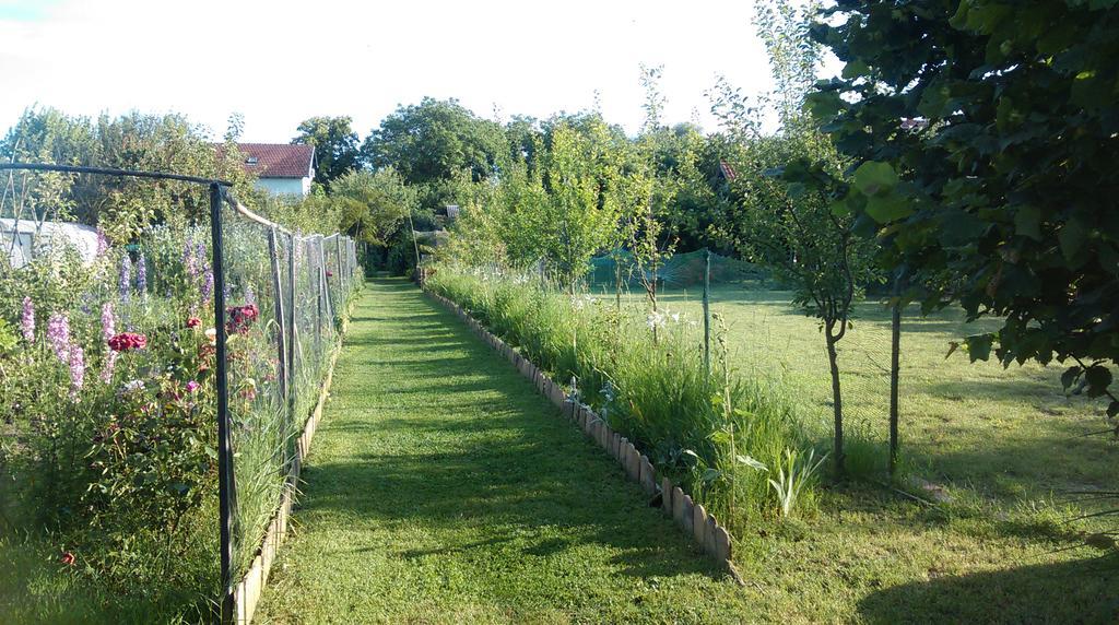 Farm Stay Lackovic Bilje Exteriör bild