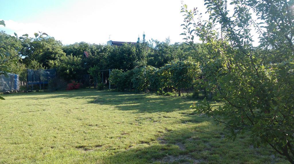 Farm Stay Lackovic Bilje Exteriör bild