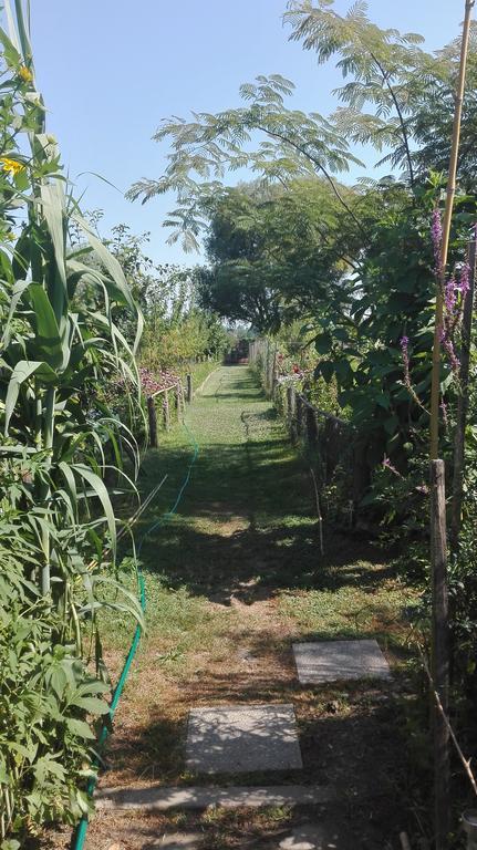 Farm Stay Lackovic Bilje Exteriör bild